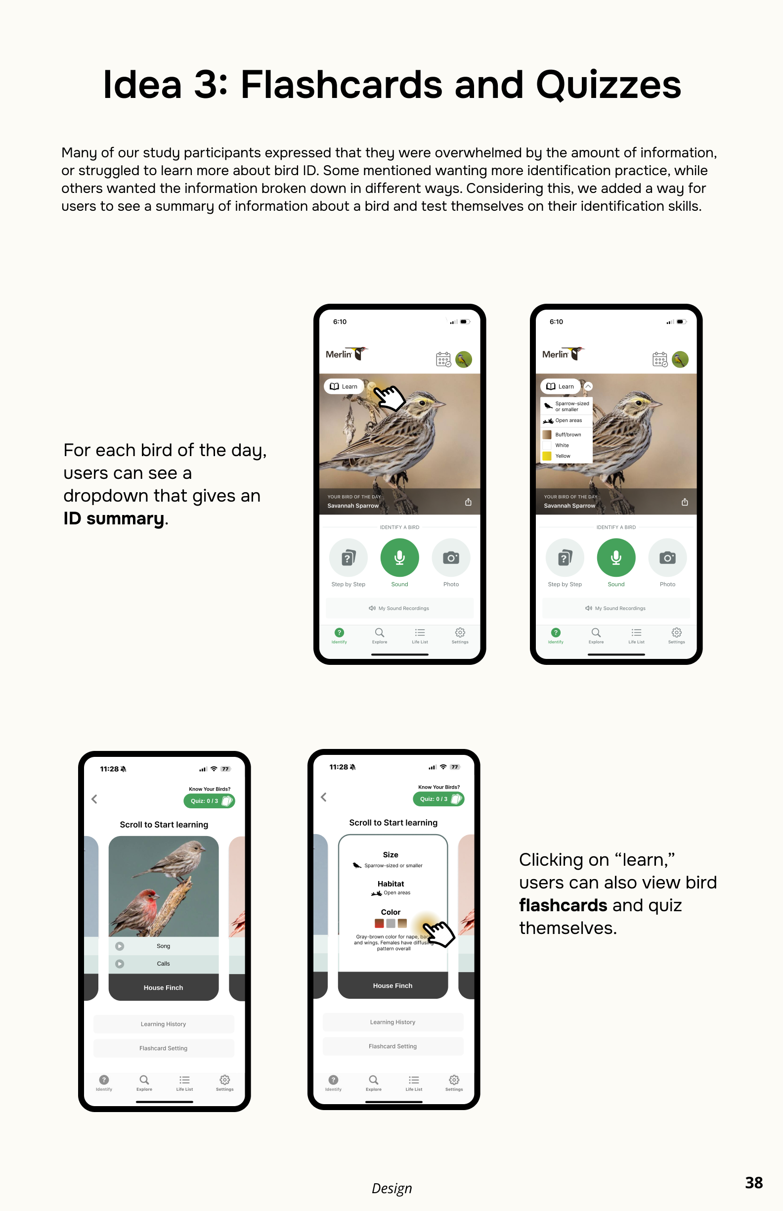 Design direction for flashcards and quizzes in Merlin